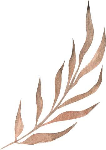 Dry tropical leaf watercolor illustration