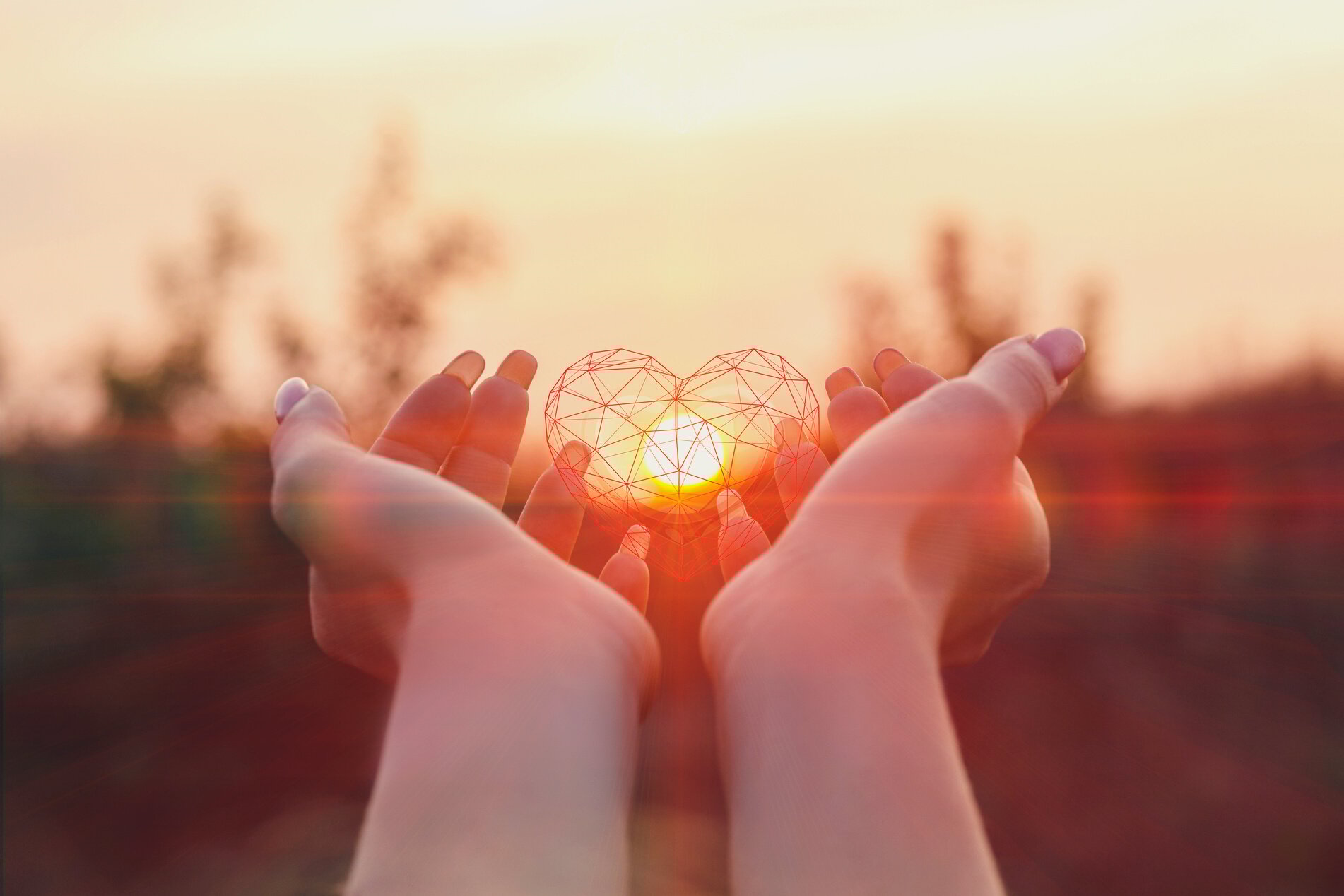 Female hands support the heart .